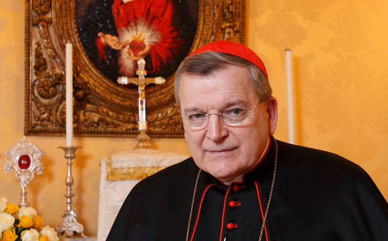 Cardinal Raymond Burke (CNS/Paul Haring)