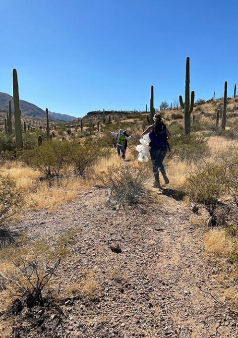Tras repartir agua en un sendero de migrantes en el desierto de Sonora, los voluntarios regresan a sus vehículos con botellas de agua vacías. 