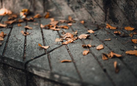Fallen leaves lay on top of a wet bench in an outside scene. (Unsplash/GR Stocks)
