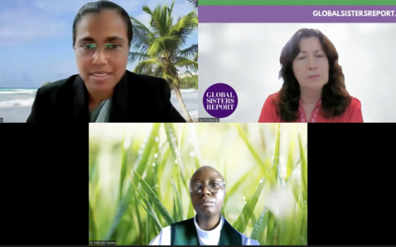The Witness & Grace conversation, titled "A Healthcare Forum on Mental Wellness," included presenters Sr. Editrudis J. Kajuna, who leads the Religious Sister Counsellors Network; Sr. Dr. Sally John, founder of the Treasure Network; and Gail DeGeorge, GSR's former editor emerita who organized the event. (GSR screenshot)