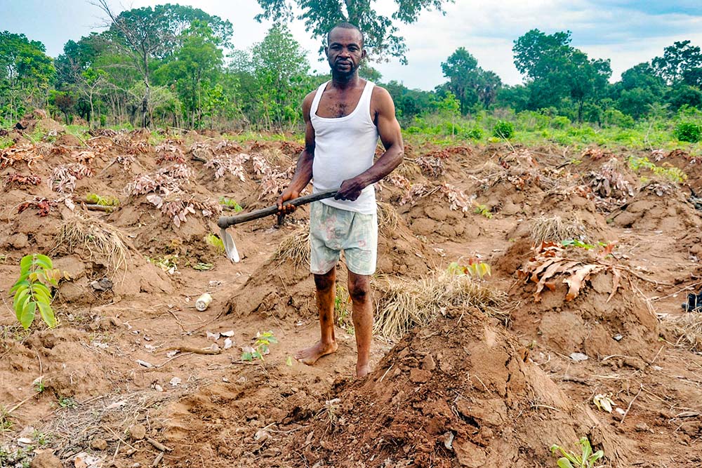 Leo Ugboji makes ridges on his yam and cassava farm behind Igoli Stadium in Ogoja, Cross River State, Nigeria. He received training in cultivation through a CORAfrica program. (Valentine Benjamin)