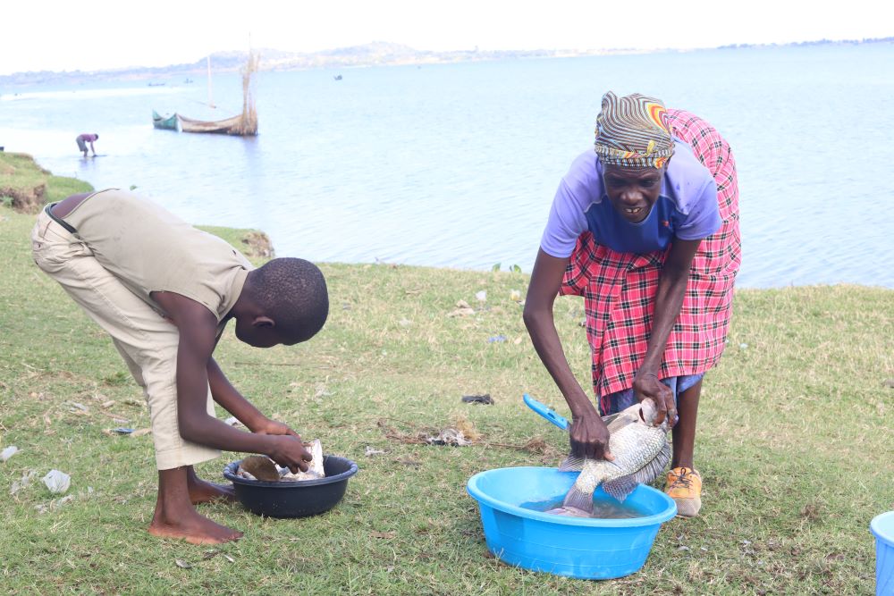 A child assists her mother in removing scales from fish they caught in Lake Victoria before selling them at the local market in Kisumu, southwestern Kenya, on Nov. 5, 2021. (GSR photo/Doreen Ajiambo)