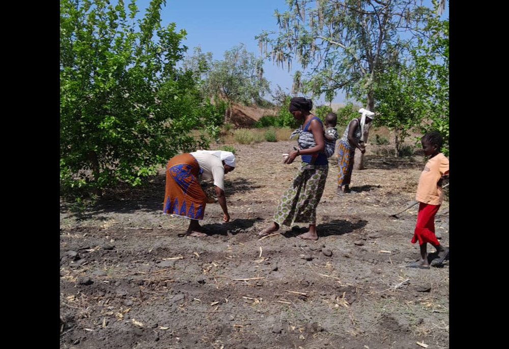 Sr. Augustine Adioye prepares the land for market gardening with the women of the village of Mbodiene in Senegal. (Sr. Pepyne Claudia Matendakama)