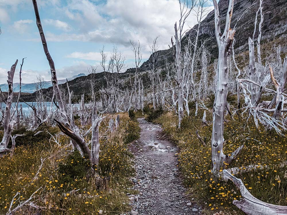 Torres del Paine National Park, Chile (Unsplash/Anqi Lu)