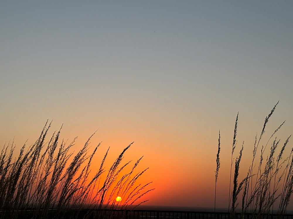 Sun sets over Chicago's autumn skyline, Oct. 5, 2024, as fall days grow shorter. (Ellen Dauwer)