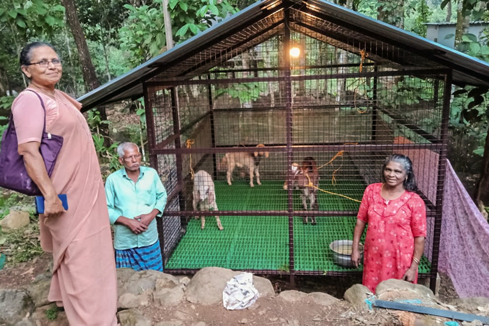 Good Shepherd Sr. Prabha Charalel hands over livestock to landslide-affected families in the Wayanad district of Kerala, southwestern India. (Courtesy of Shirly Joseph)