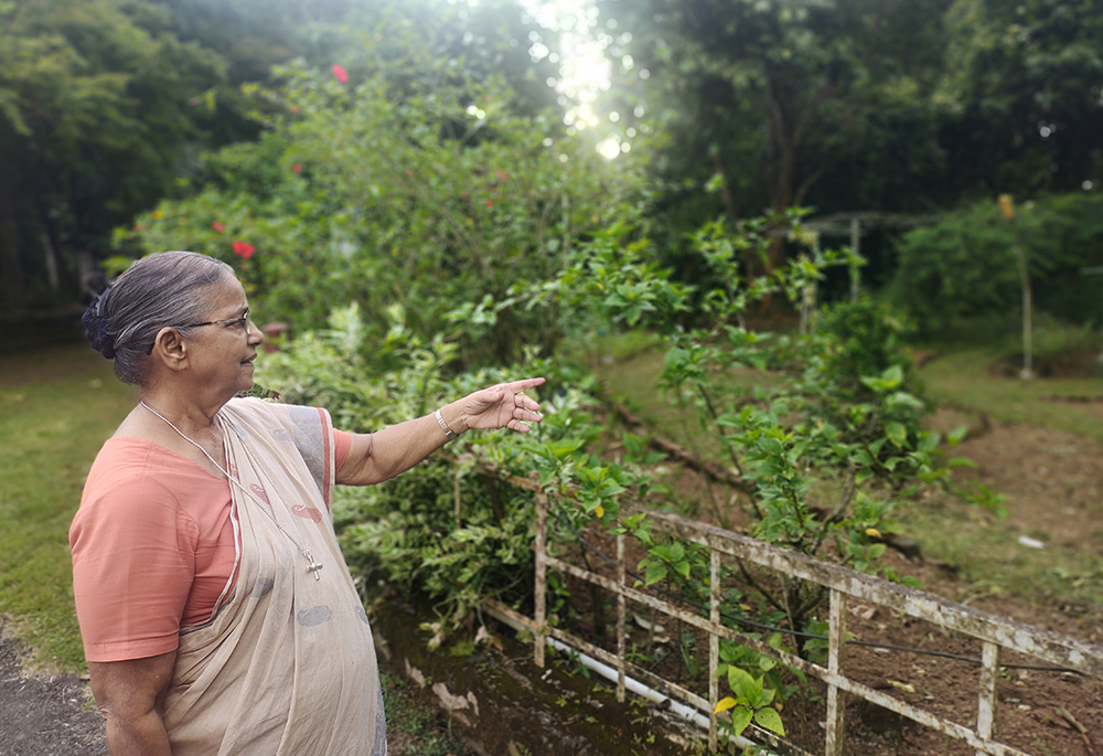 Medical Mission Sr. Eliza Kuppozhackel, who founded Ayushya Centre for Healing and Integration, explains various medicinal plants in her herbal garden. (Thomas Scaria)