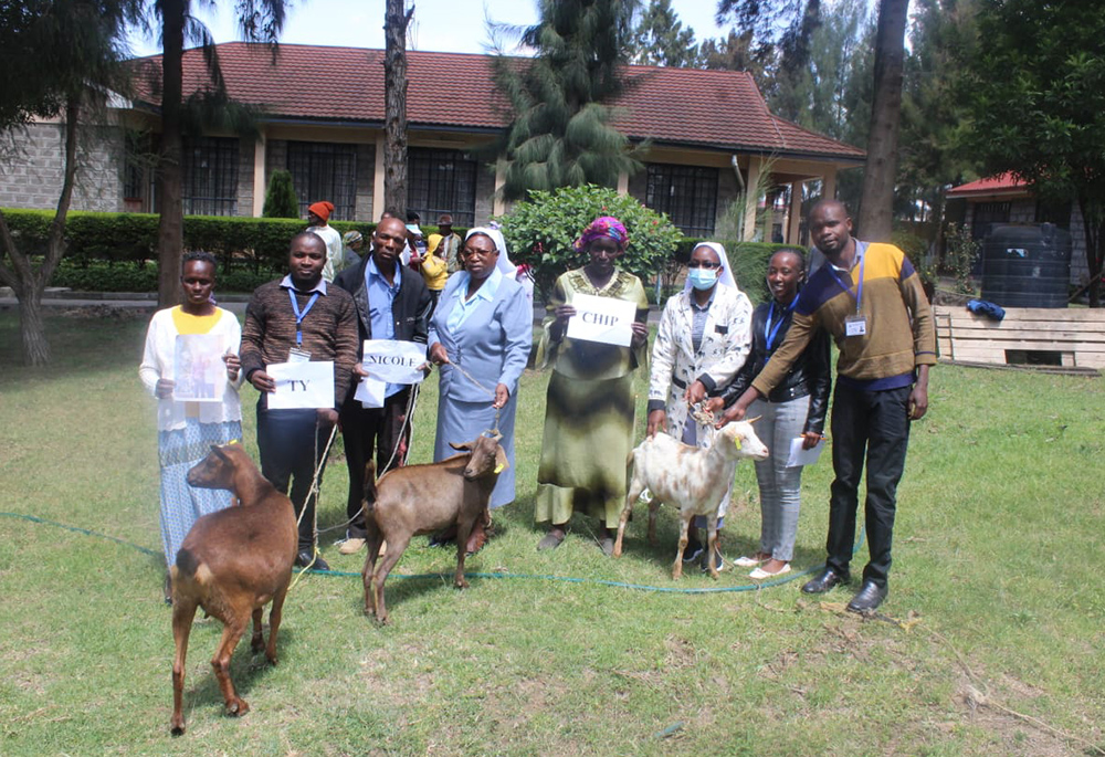 Sr. Florence Muia distributes goats to her clients as a means of empowerment in Upendo Village, which is located in Naivasha, a town northwest of Nairobi, the capital of Kenya. (Courtesy of Upendo Village)