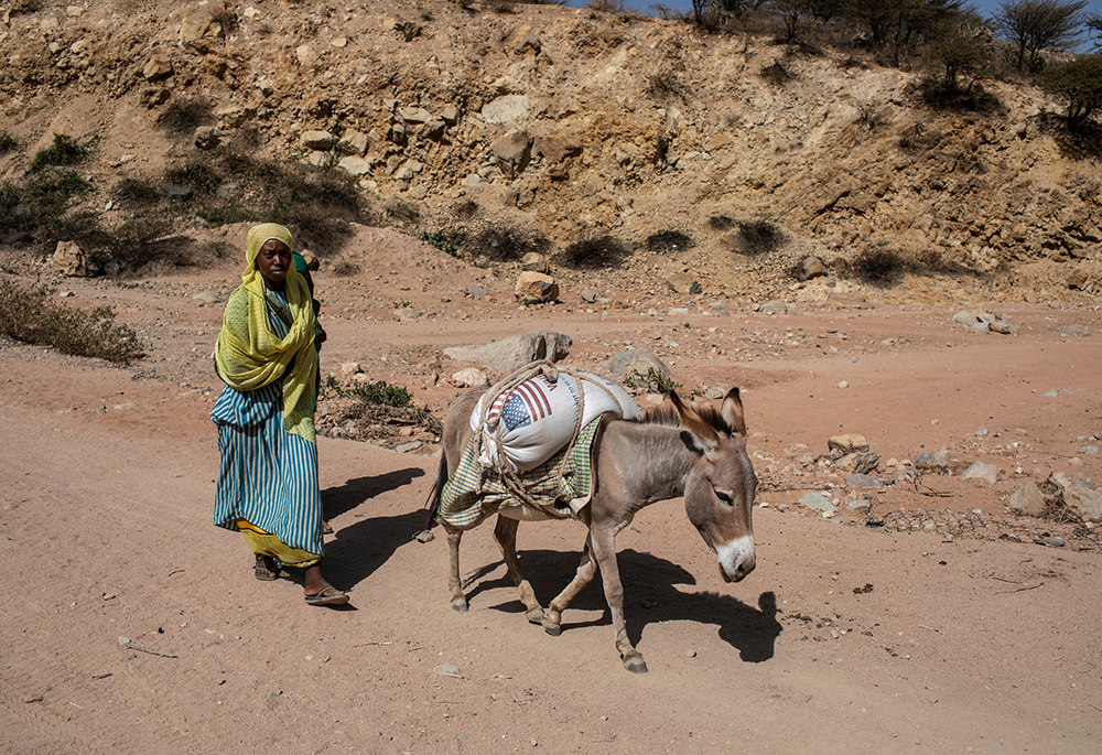 A woman uses a donkey to transport wheat supplied by USAID as drought relief near Ejianeni, Ethiopia, on Feb. 12, 2019. (CNS/Courtesy of CRS/Will Baxter)