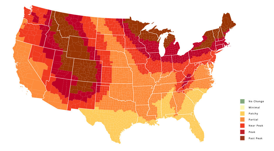 Autumn In America 