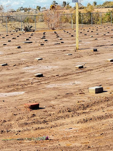 A handful of carnations that sisters threw over a fence Feb. 7 fell near bricks that serve as tombstones in a field where anonymous migrants are buried at Terrace Park Cemetery in Holtville, California. (GSR photo/Rhina Guidos) 