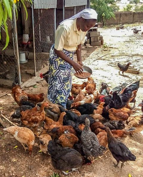 The Dominican Sisters of the Presentation in Cameroon raise chickens, sheep and pigs for local consumption and use the animals' waste as fertilizer. (Courtesy of Pouiwindin Chantal Ouedraogo)