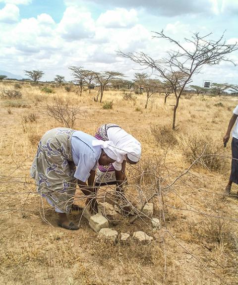 Holy Trinity Sisters revive the forest by implementing Farmer Managed Natural Regeneration practices and using stumps from indigenous trees in Isiolo, Kenya. (Catherine Ciingi)