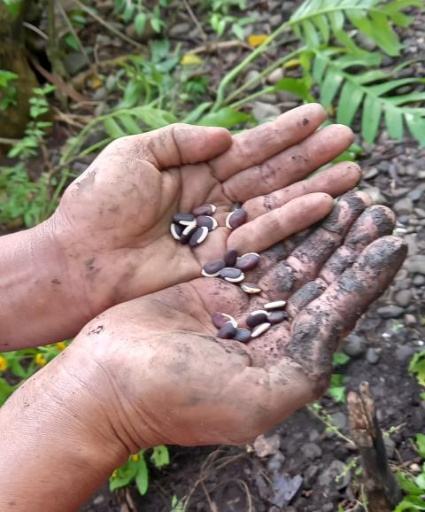 Missionary Sisters of St. Columban in the Philippines work with a group of mothers who practice organic gardening. Laudato Si' reminds us that this care for the earth sows seeds for future generations. (Courtesy of Cristita de Leon)