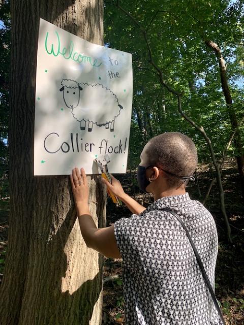 Madison Thomas, a former Good Shepherd Volunteer, hangs a welcome poster along the entry road to Collier High School in Wickatunk, New Jersey. (Maddie Thompson)