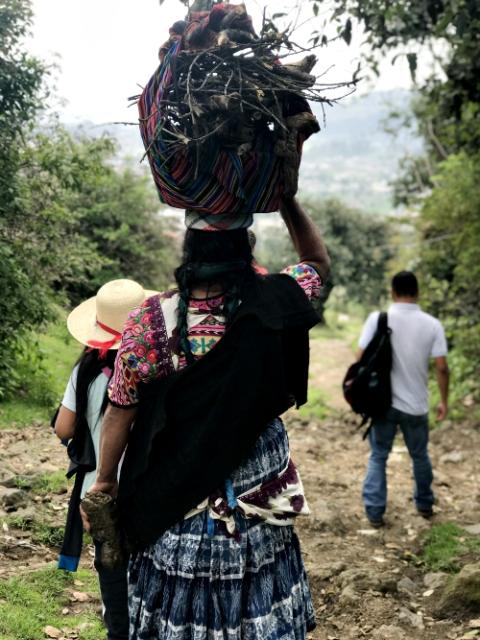 An indigenous woman and her daughter collect firewood to heat their house and cook. (Provided photo)