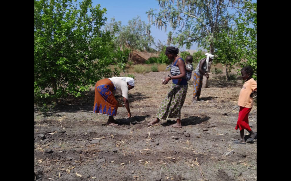 Sr. Augustine Adioye prepares the land for market gardening with the women of the village of Mbodiene in Senegal. (Sr. Pepyne Claudia Matendakama)