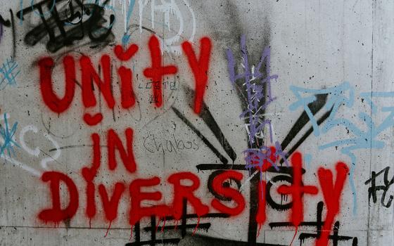 Graffiti of the phrase "Unity in Diversity" in red spray paint on a wall (Unsplash/Claudio Schwarz)