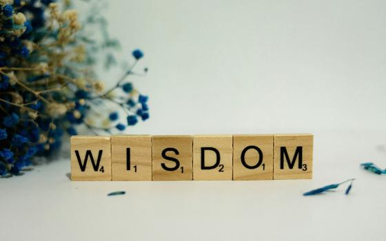 Wooden blocks displaying letters spell out the word "wisdom." (Unsplash/Alex Shute) 