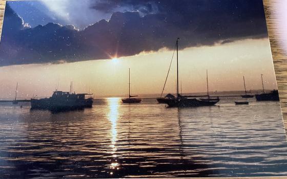 Ships at sea (Courtesy of Joan Sauro)