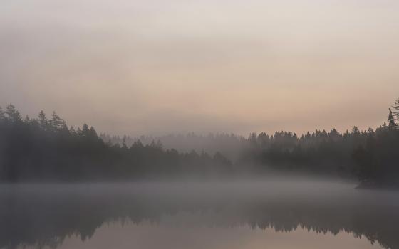 Misty lake (Unsplash/Dennis Mettler)