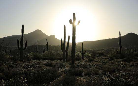 The sun sets behind a desert view in the Spur Cross Ranch Conservation Area in Cave Creek, Arizona. (CNS/Nancy Wiechec)