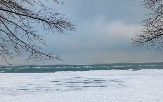 Shoreline of Lake Erie, with sky and snow and bare trees