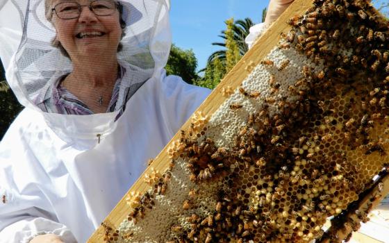 Sr. Barbara Hagel with a frame from one of her hives on the property of the Dominican Sisters of Mission San Jose in Fremont, California. All of the bees in a hive are related to the queen, making all of the worker bees sisters. (Melanie Lidman)