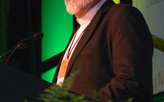 Fr. Hank Lemoncelli speaks Tuesday to members of the Leadership Conference of Women Religious at the welcoming ceremony for the group's annual assembly in Nashville, Tenn. (Dan Stockman)